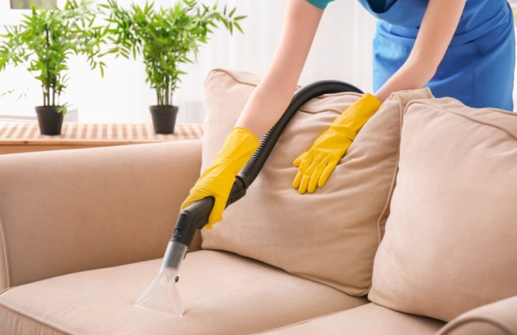 Upholstery cleaning service